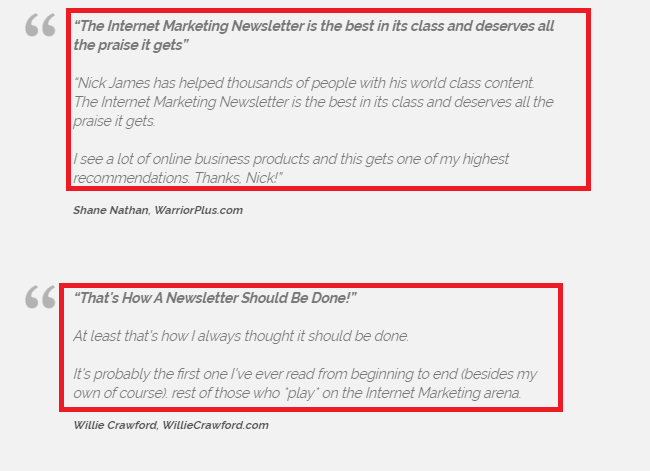 Internet Marketing Newsletter Review