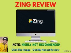 Zing Review