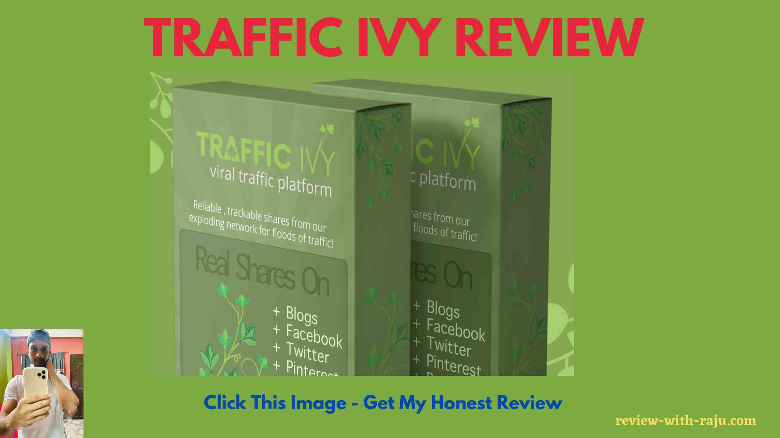 Traffic Ivy Review