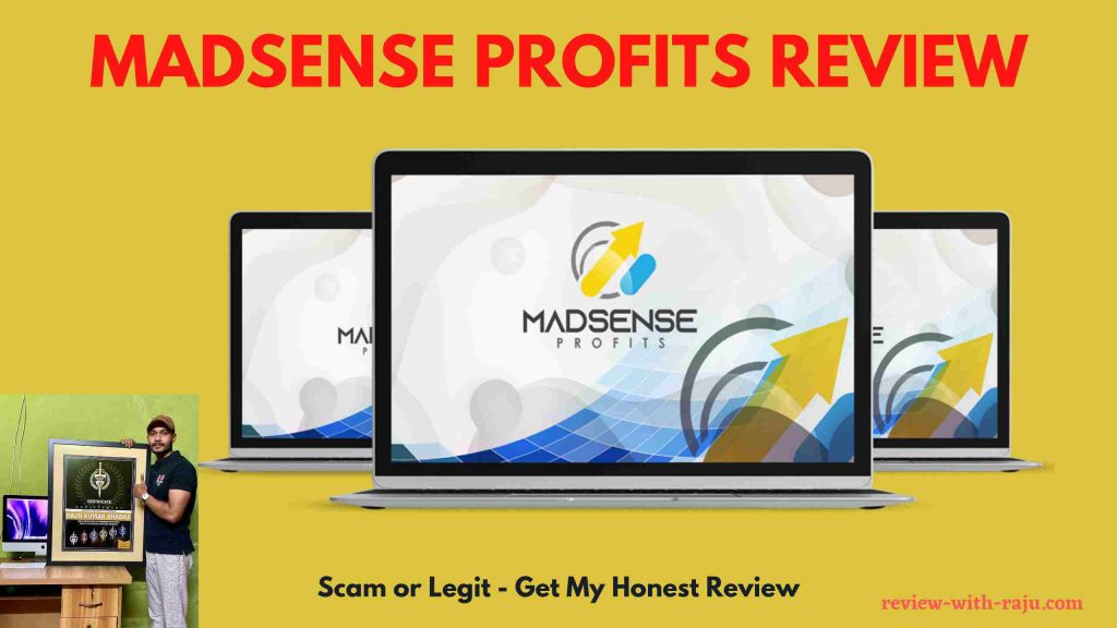 Madsense Profits Review