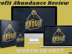 Profit Abundance Review