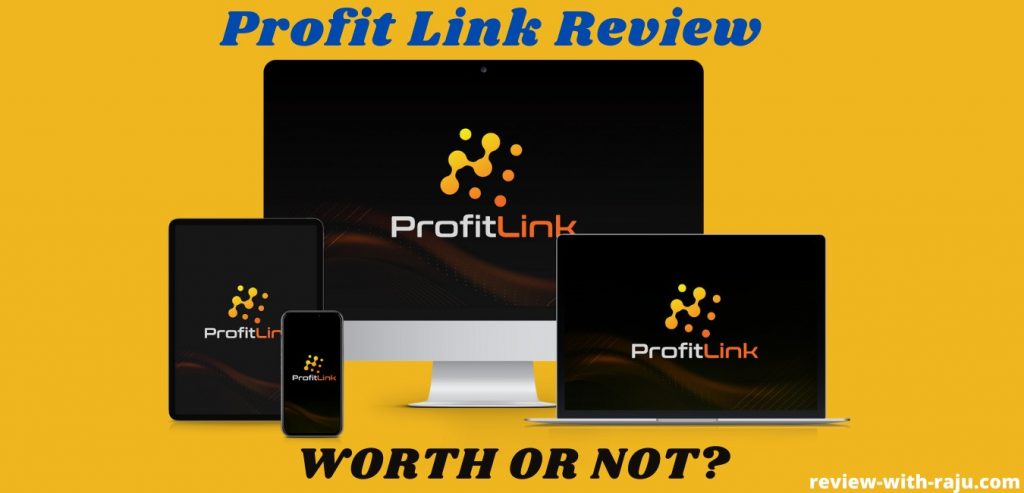 Profit Link Review