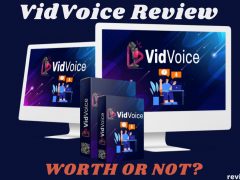 VidVoice Review