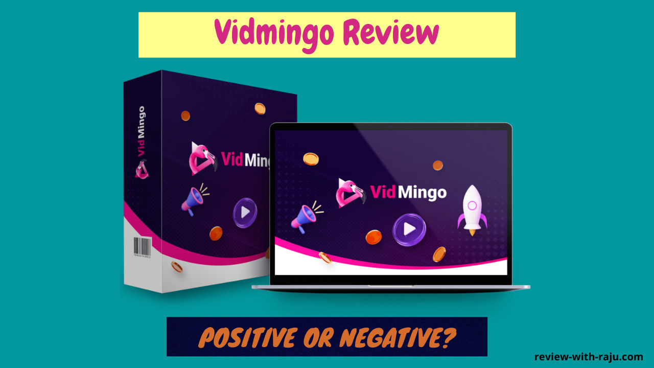 Vidmingo Review