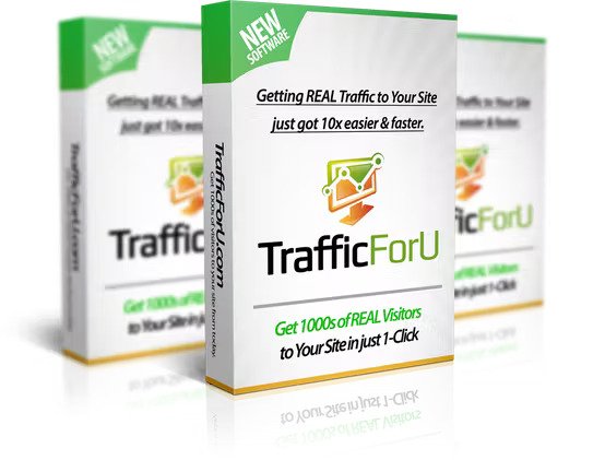 TrafficForU Review