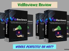 VidReviewz Review