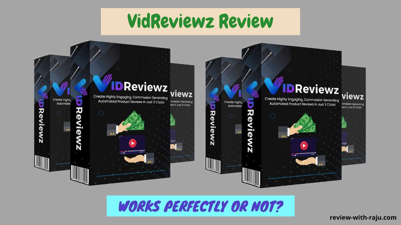 VidReviewz Review