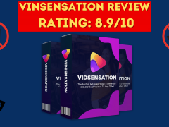 VidSensation Review