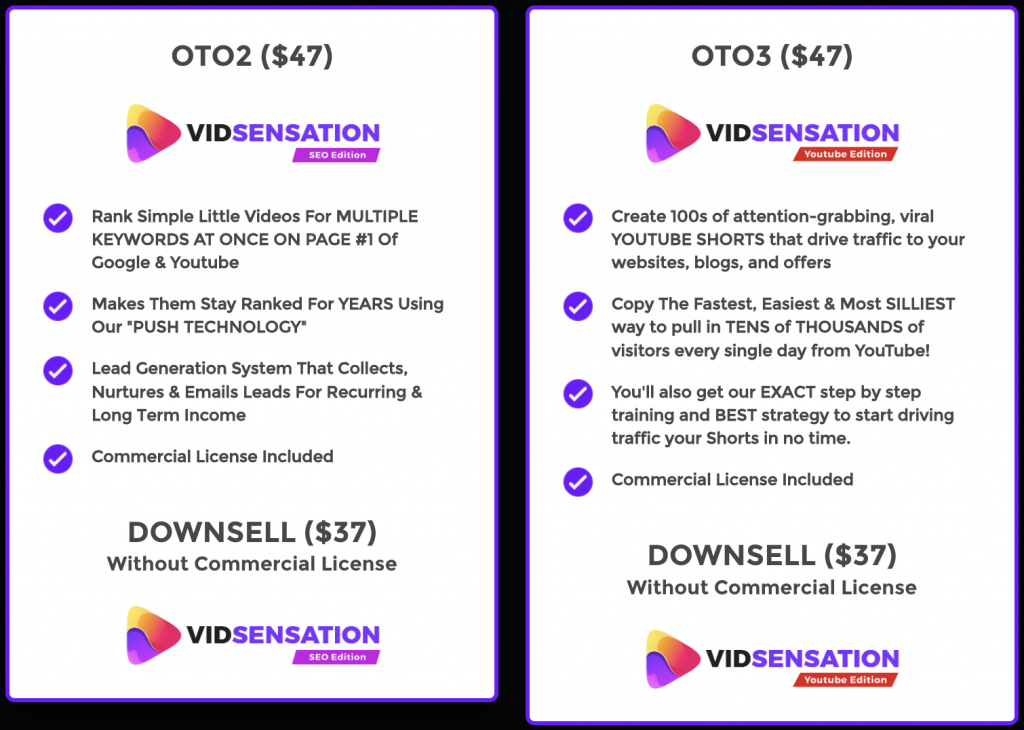 VidSensation Review