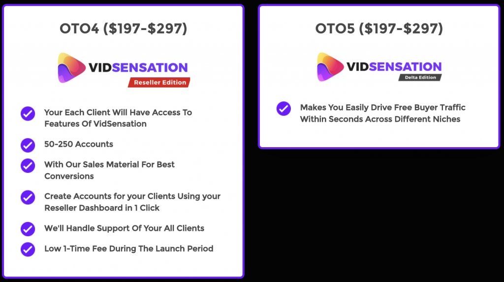 VidSensation Review