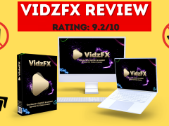 VidzFX Review