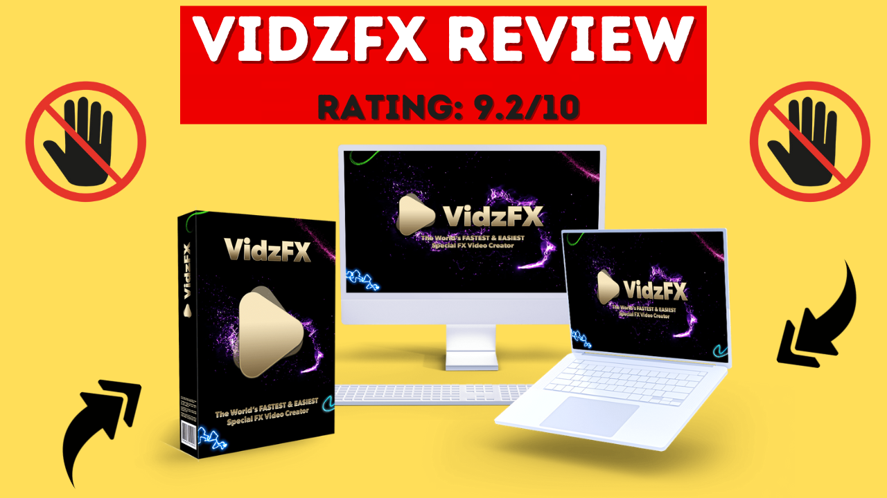 VidzFX Review