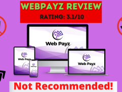 WebPayz Review