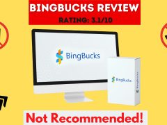 BingBucks Review