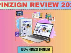 Spinzign Review