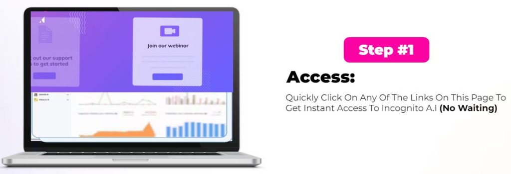 Incognito AI Review Working Steps 1